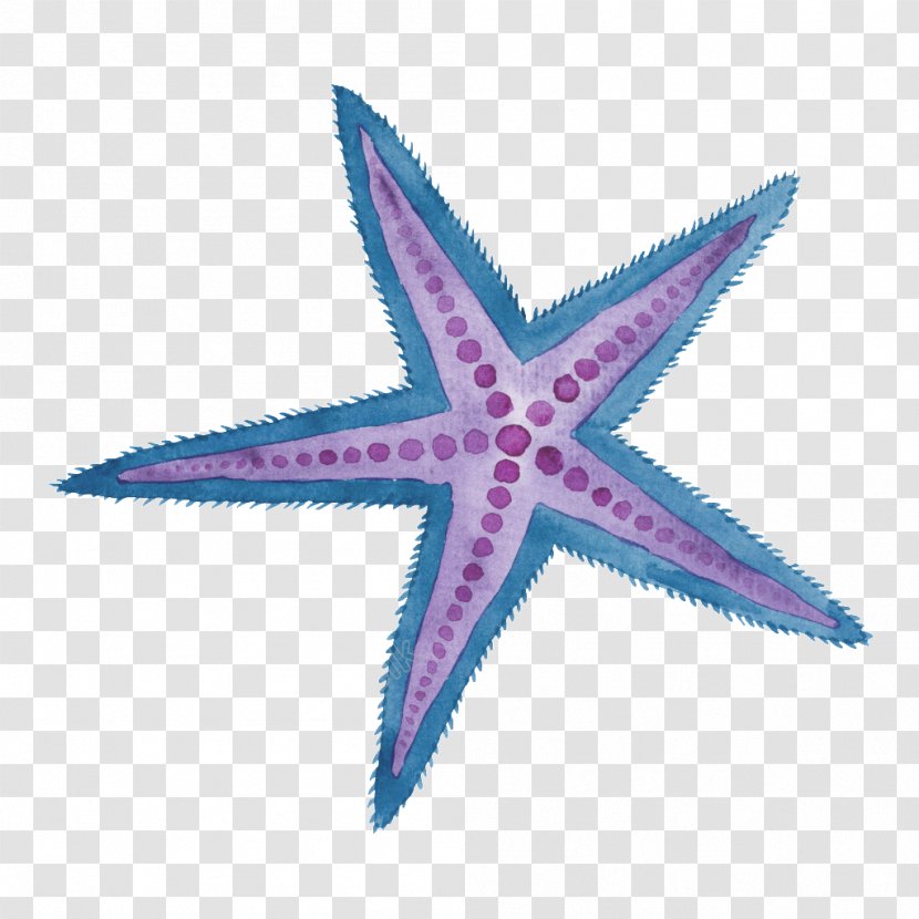 Starfish Illustration Watercolor Painting Birthday Sea - Holidays Card Transparent PNG