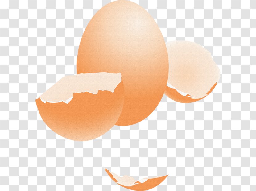 Eggshell Chicken Image - Egg Transparent PNG