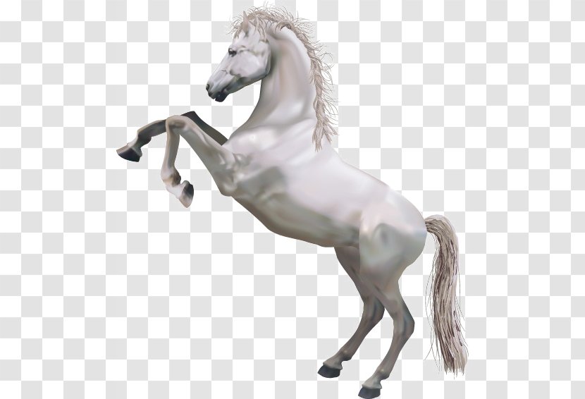 Horse Perseus Pegasus Illustration - White - Whitehorse Transparent PNG