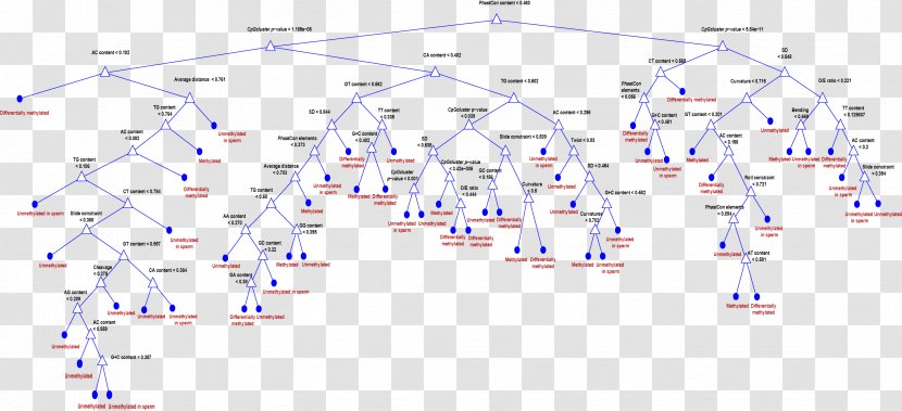 Diagram Line Decision Tree Point Angle - Area Transparent PNG