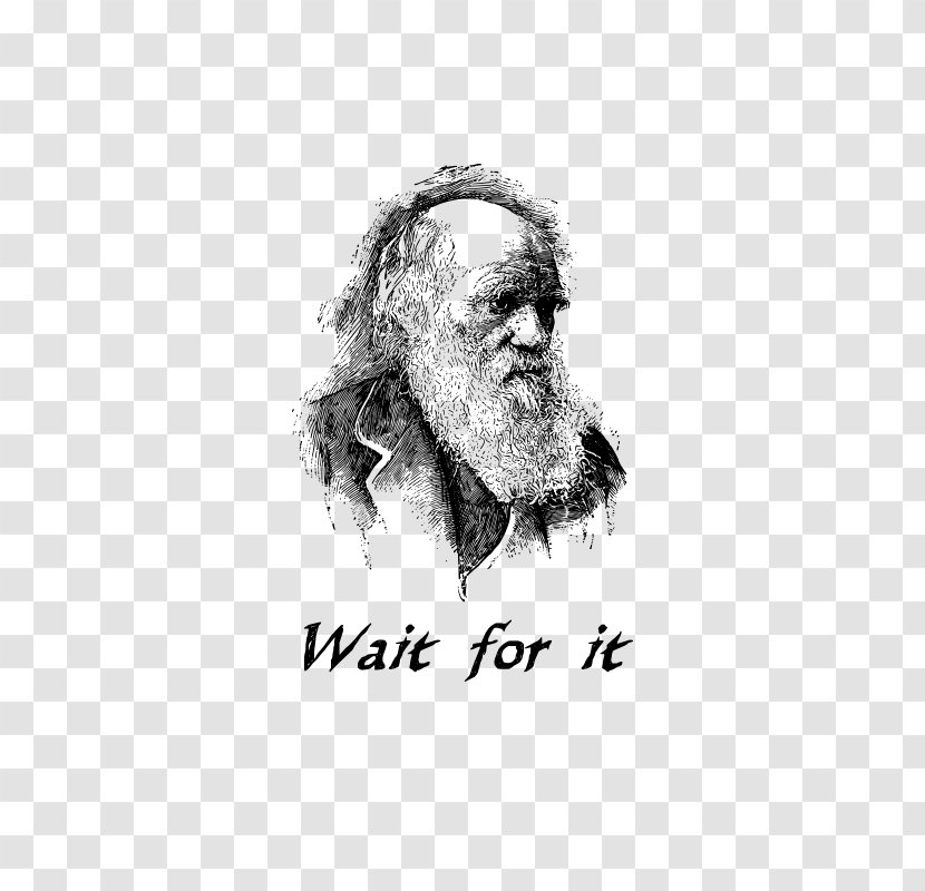 The Voyage Of Beagle Evolutionary Medicine Adaptation Doctor Darwin - Alfred Russel Wallace - Wait For It Transparent PNG