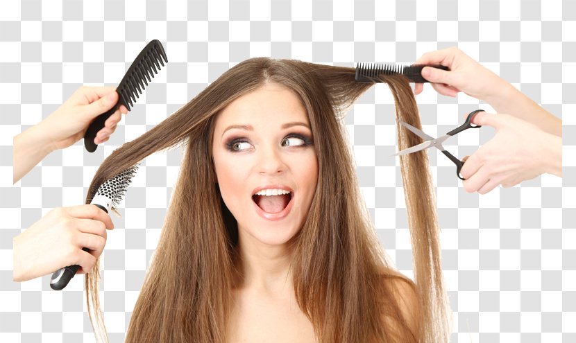 Beauty Parlour Human Hair Growth Care Cosmetologist - Trichoptilosis Transparent PNG