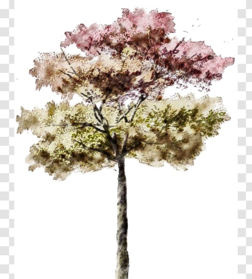 Architectural Rendering Watercolor Painting Architecture Tree Sketch - Spring Transparent PNG