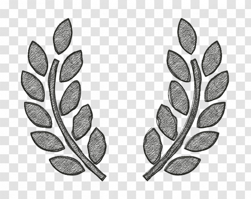 Olive Branches Award Symbol Icon Awards Icon Award Icon Transparent PNG