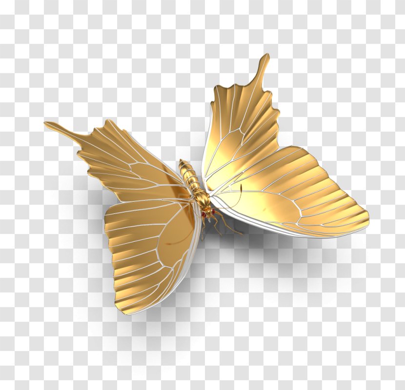Butterfly Gold - Transparency And Translucency Transparent PNG