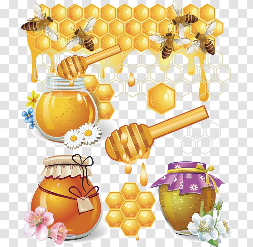 Honey Bee Honeycomb - Bees And Creative Transparent PNG