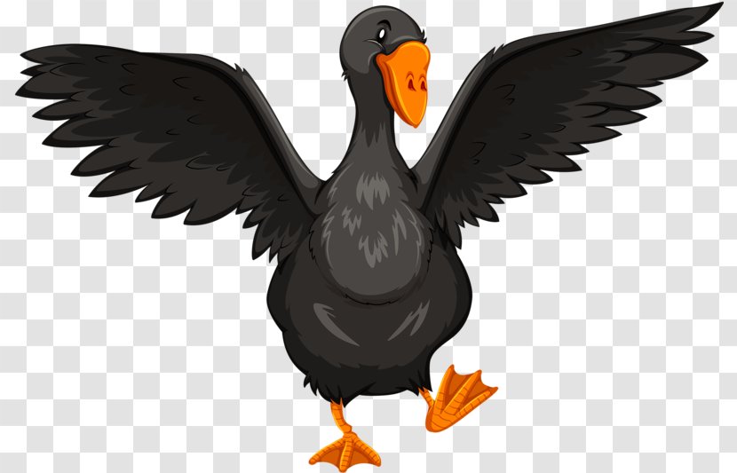 Duck Goose Illustration - Black Transparent PNG