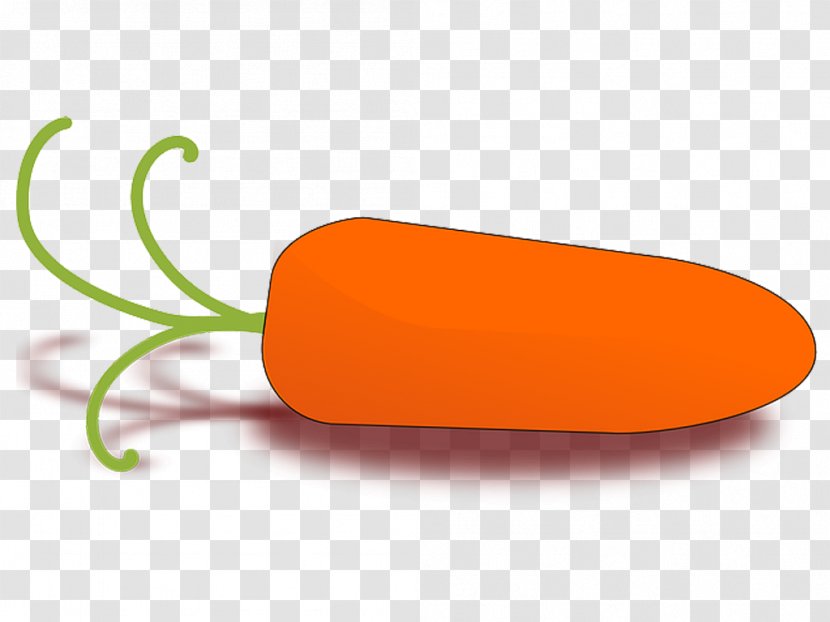 Baby Carrot Vegetable Clip Art - Crisp Vector Transparent PNG