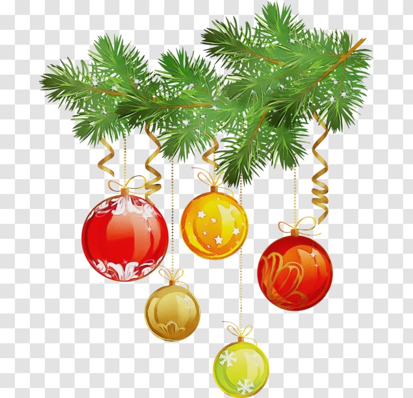 Christmas Tree - Branch - Woody Plant Fir Transparent PNG