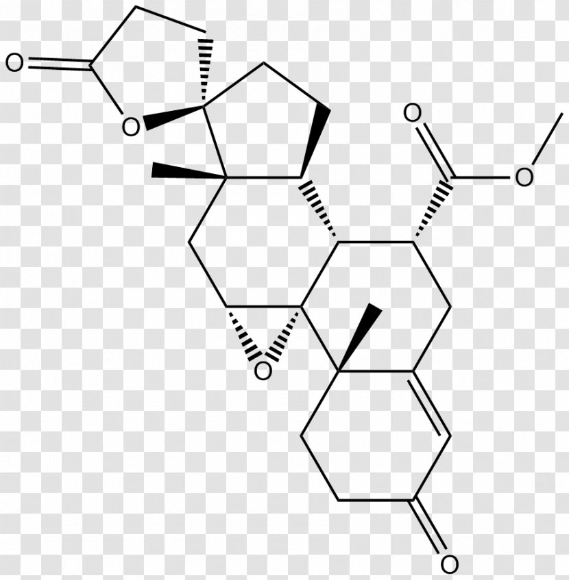 /m/02csf Drawing Line Black & White - Symmetry - M AngleAldosterone Transparent PNG