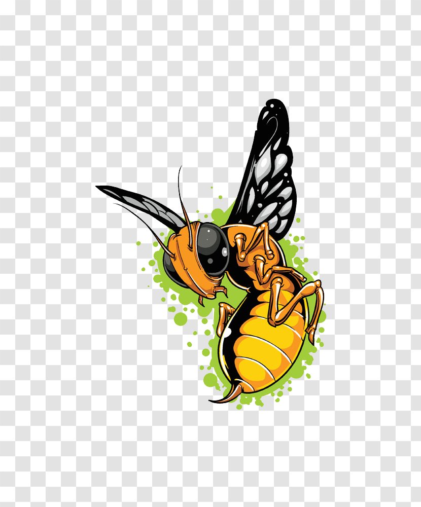 Honey Bee Butterfly T-shirt Clip Art - Insect - Cartoon Transparent PNG