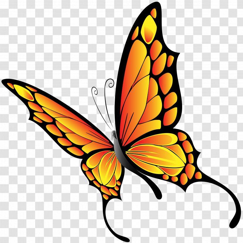 Butterfly Clip Art - Monarch - Fly Transparent PNG