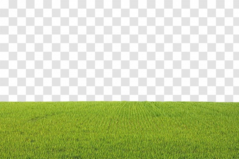 Grassland Green Field Grass Meadow - Land Lot Prairie Transparent PNG