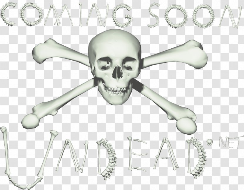 Skull Product Design Font - Bone Transparent PNG