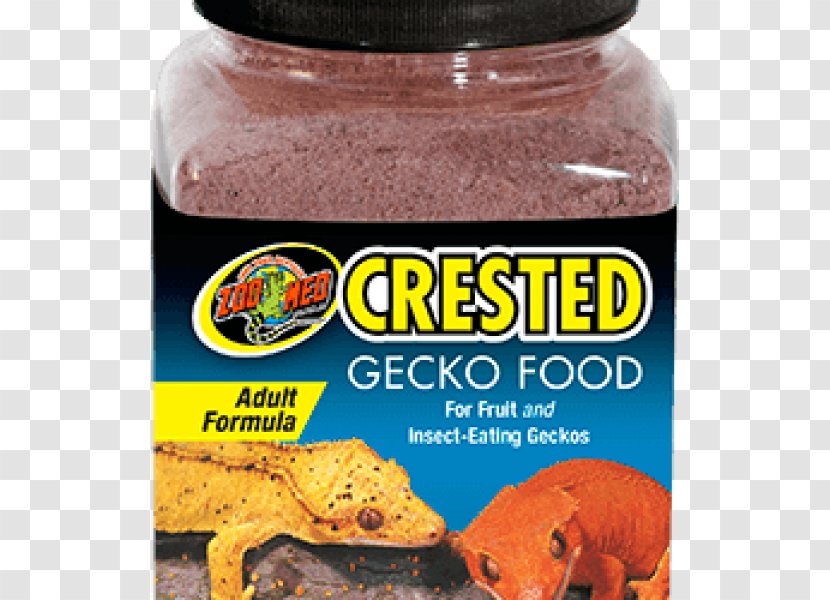 Reptile Crested Gecko Food Rhacodactylus - Lizard Transparent PNG