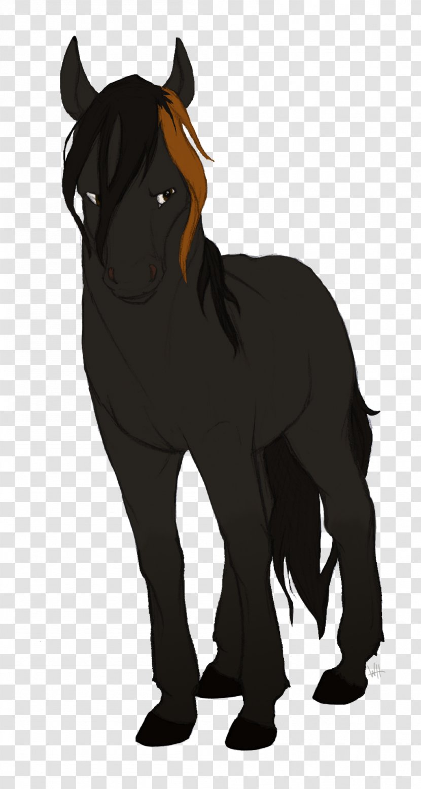 Foal Pony Stallion Mustang Halter - Animal - Stranger Transparent PNG