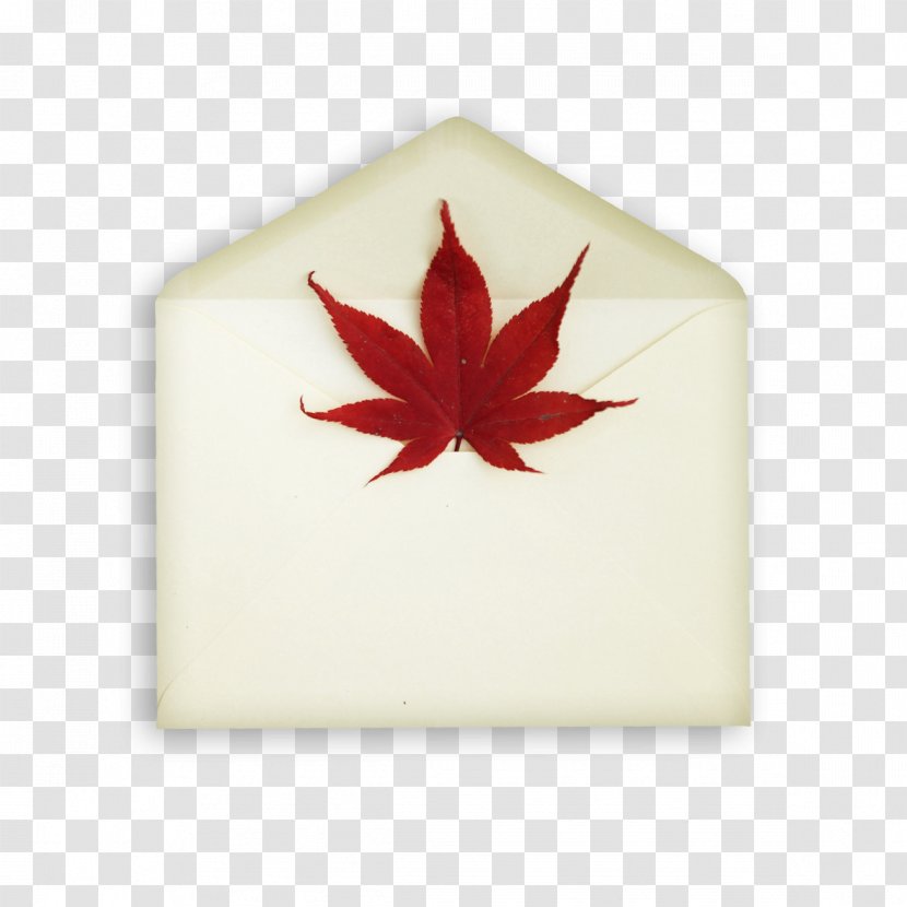 Wedding Invitation Envelope Postcard Maple Leaf Transparent PNG