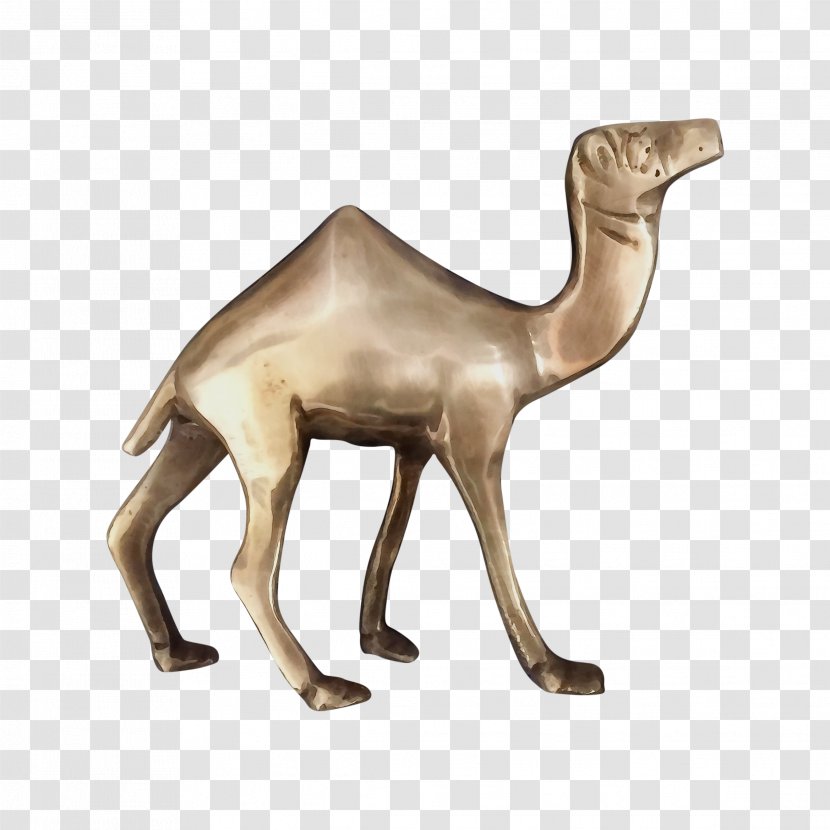 Camel Camelid Animal Figure Arabian Figurine - Sculpture Wildlife Transparent PNG