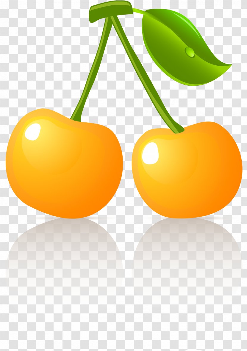 Food Fruit Redcurrant Mandarin Orange Gooseberry - Natural Foods - Hell Transparent PNG