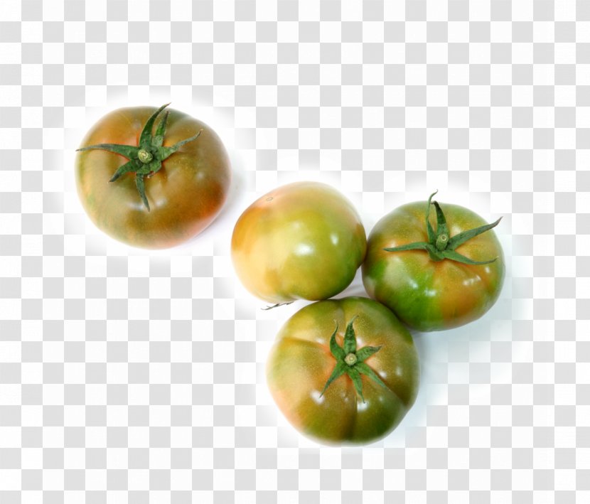 Tomato Soup Vegetarian Cuisine Food Tomatillo - Bush Transparent PNG