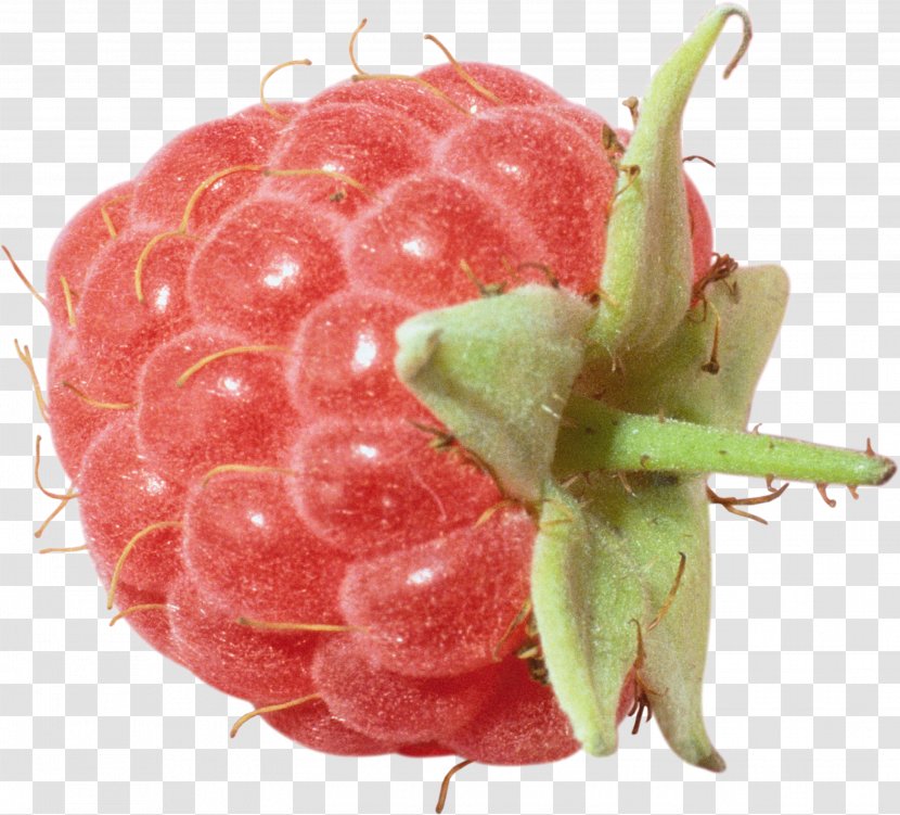 Red Raspberry - Fruit - Rraspberry Image Transparent PNG