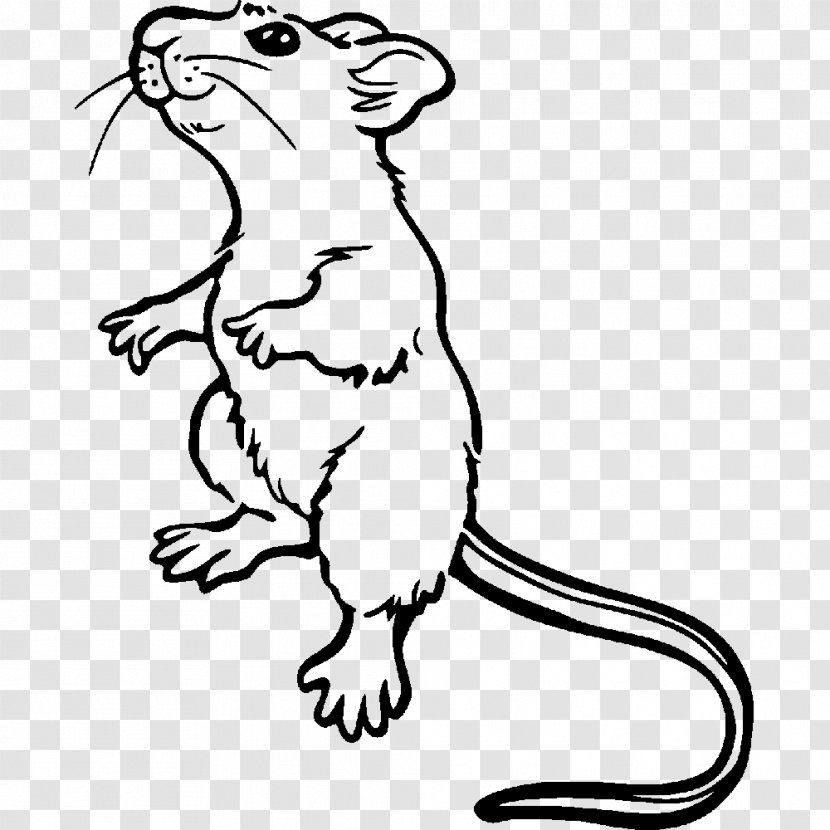 Brown Rat Mouse Coloring Book Laboratory Drawing Transparent PNG
