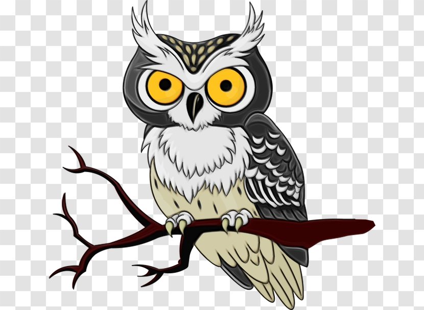 Bird Owl Of Prey Eastern Screech Beak - Wing Western Transparent PNG