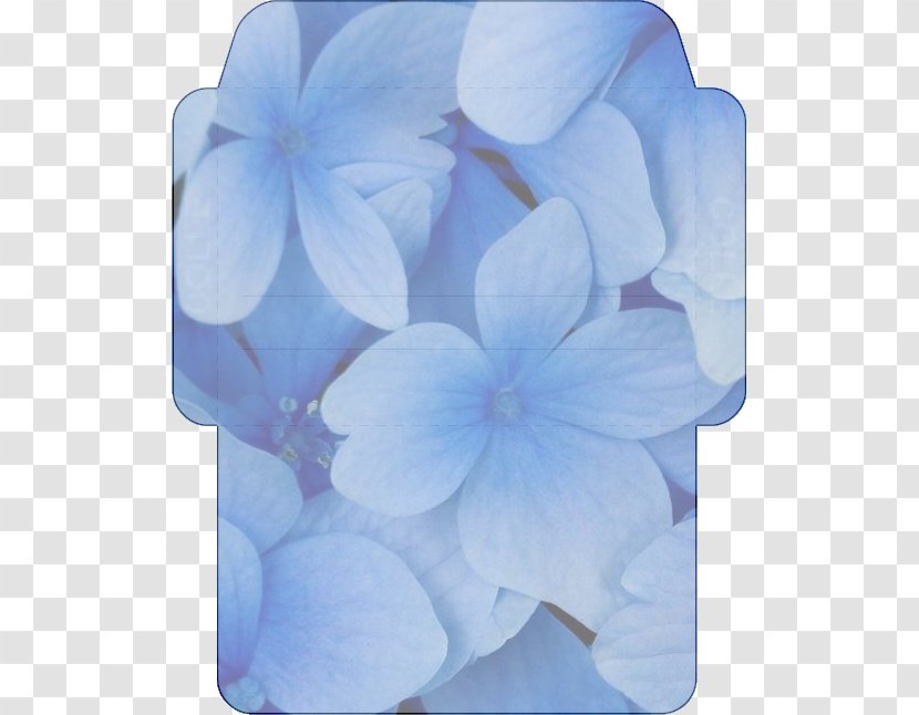 Flower Desktop Wallpaper Drawing Transparent PNG
