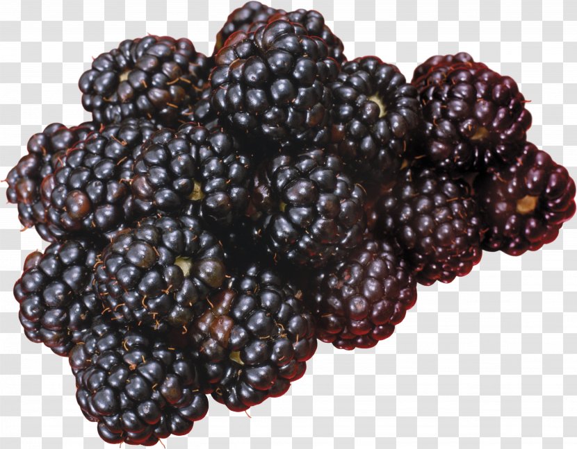 Blackberry Fruit Frutti Di Bosco - Berry Transparent PNG
