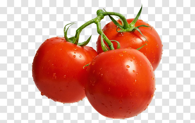 Cherry Tomato Lecsxf3 Cultivar Auglis Fruit - Potato And Genus - Fresh Tomatoes Transparent PNG