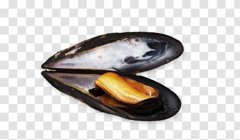 Blue Mussel Clam Moules-frites Fish Transparent PNG