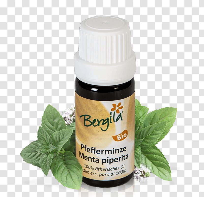 Herb Essential Oil Peppermint Pine - Extract Transparent PNG