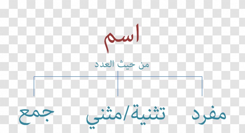 Dual Plural Ainsus Arabic Grammar - Genitive Case - Word Transparent PNG
