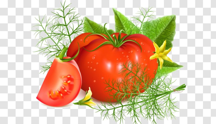 Tomato Soup Juice Minestrone - Stock Photography Transparent PNG