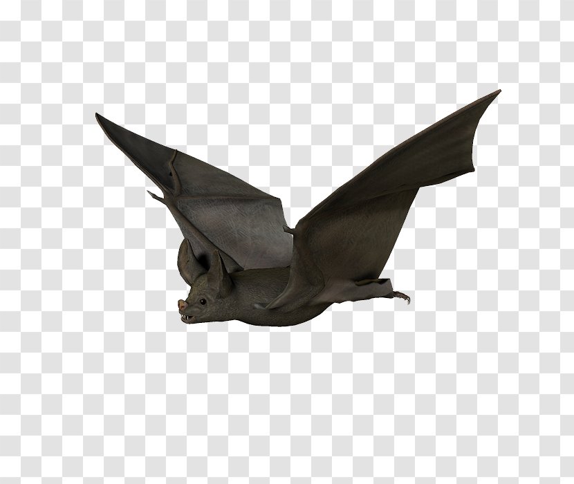 Bat Visual Arts Clip Art - Filename Extension Transparent PNG