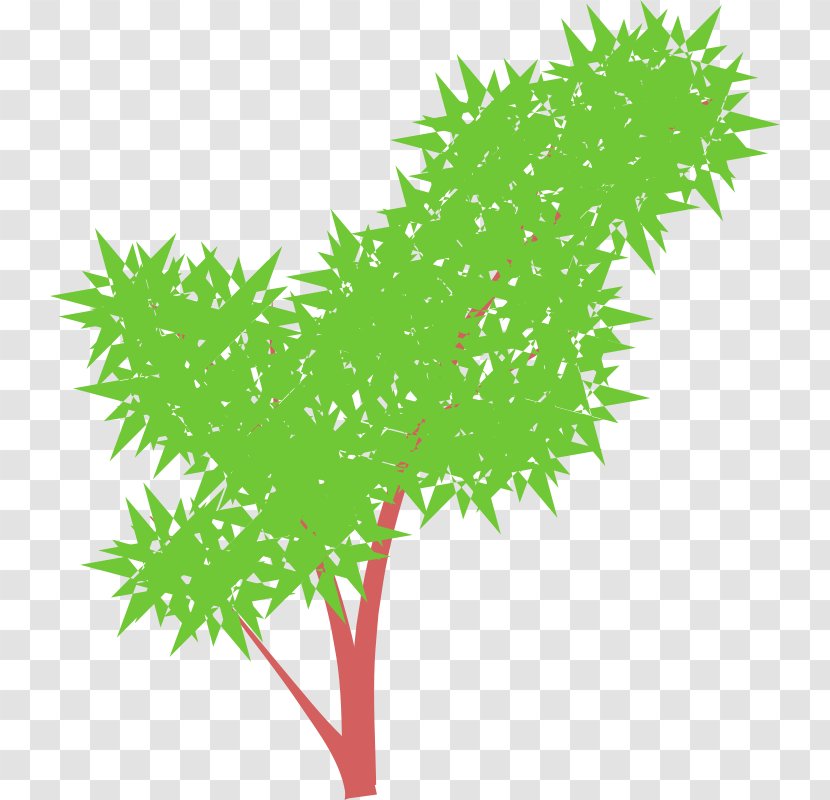 Tree Clip Art - Plant Transparent PNG