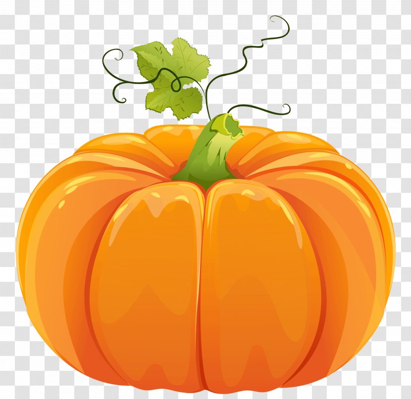 Pumpkin Pie Field Cucurbita Maxima Jack-o'-lantern - Bell Pepper Transparent PNG
