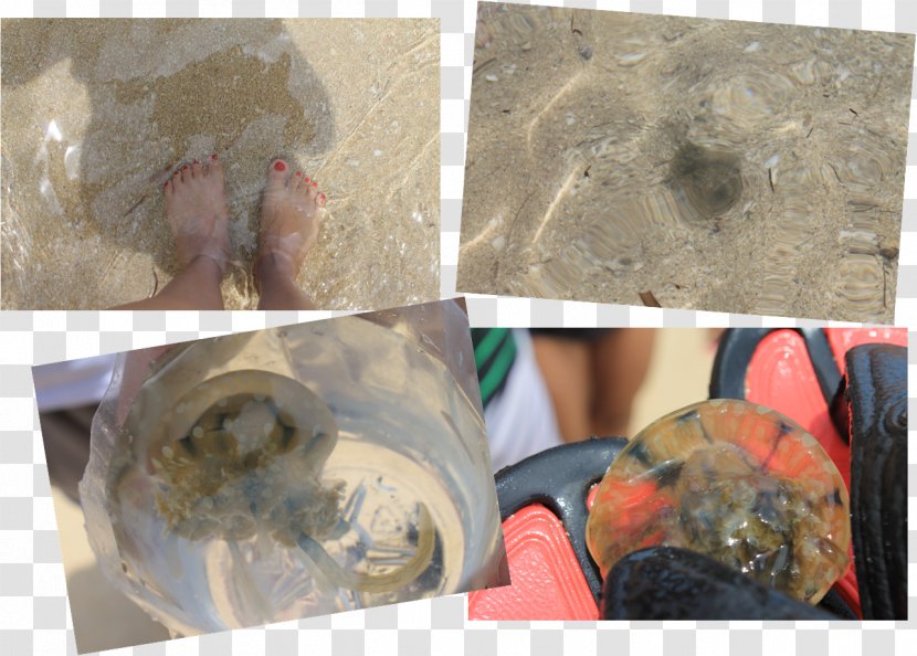 Burot Beach Waterbed Pagudpud - Bohol - Bed Transparent PNG