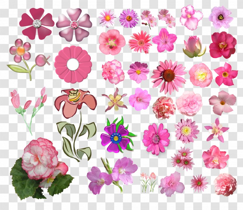 Cut Flowers Floral Design Pink Transparent PNG