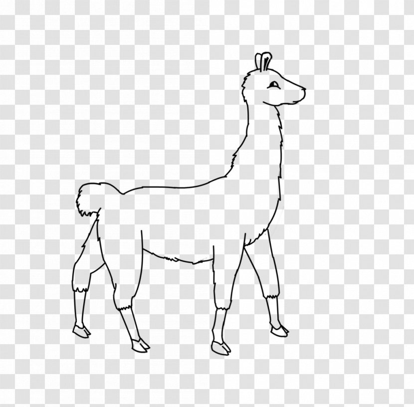 Line Art Llama Alpaca Camel Clip - Giraffe Transparent PNG