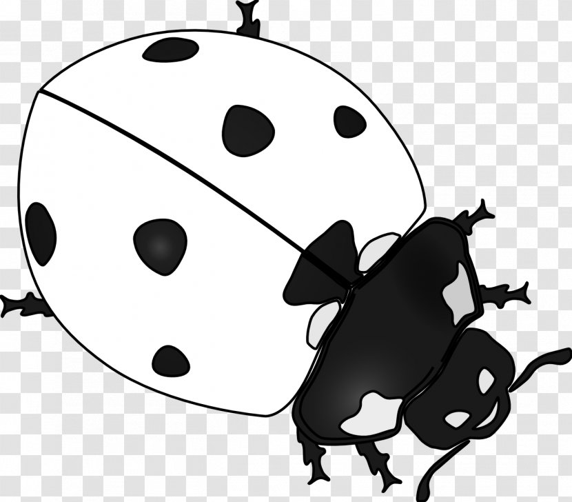 Ladybird Beetle Drawing Clip Art - Free Content - Black Ladybug Cliparts Transparent PNG