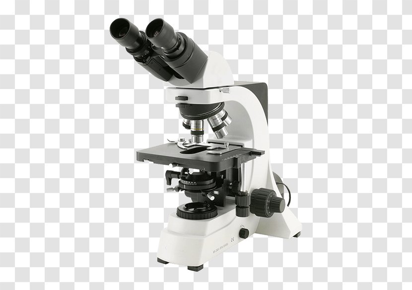 Optical Microscope Optics Phase Contrast Microscopy Laboratory - Optische Abbildung Transparent PNG