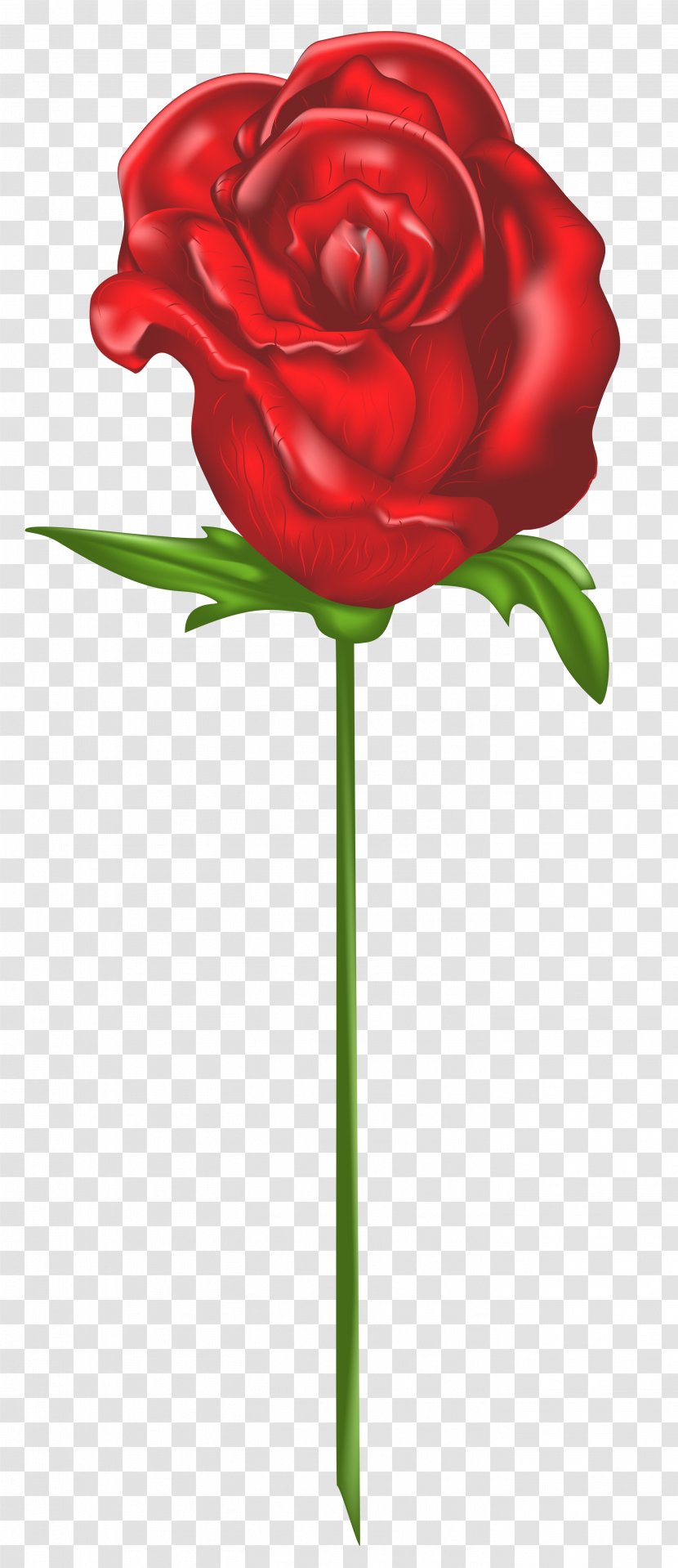 Garden Roses Roses, Girona - Floral Design - Red Rose Clipart Transparent PNG