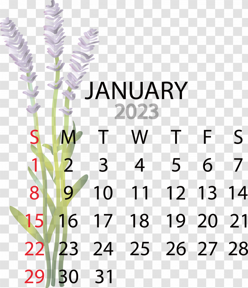 Calendar Advent Calendar Month Bengali Calendar Calendar Transparent PNG