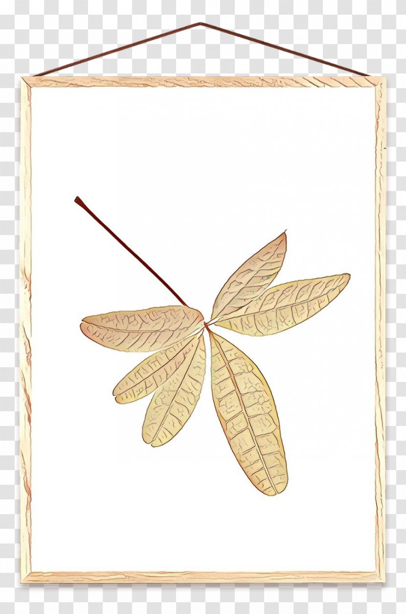 Leaf Line - Tree - Plant Transparent PNG