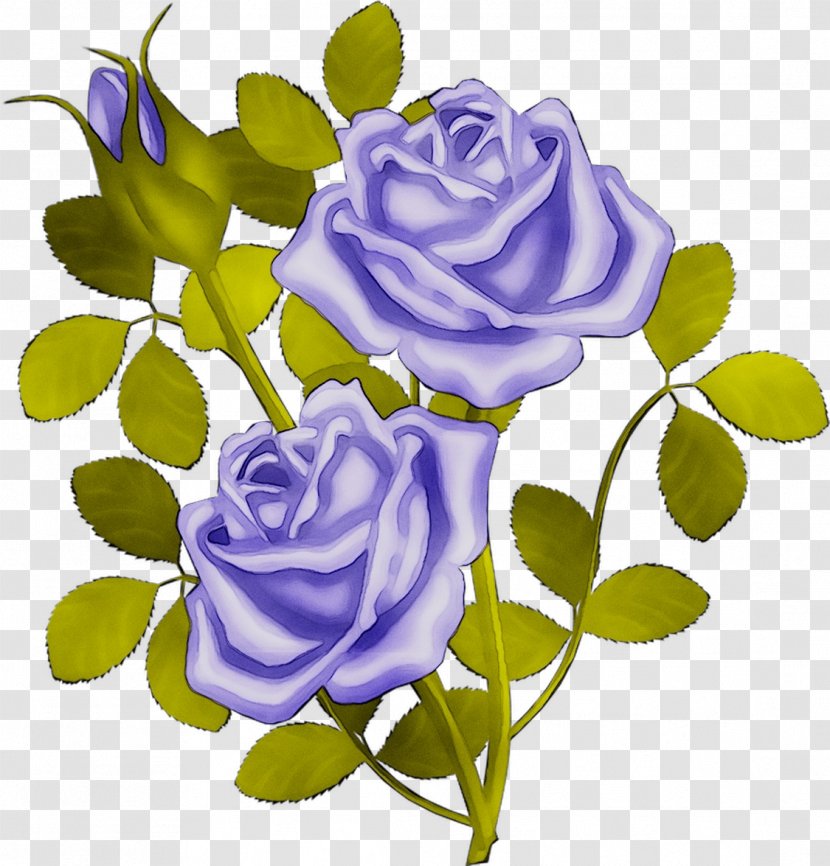 Garden Roses Blue Rose Cabbage Floral Design Cut Flowers - Petal - Floribunda Transparent PNG