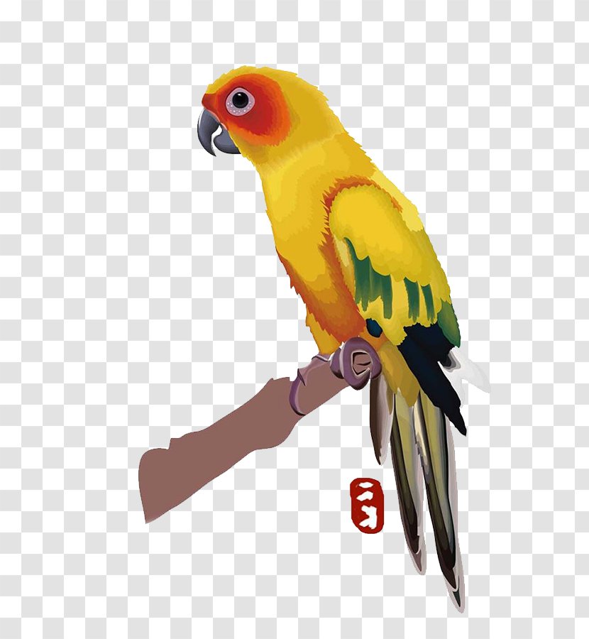 Budgerigar Parrot Lovebird Macaw - Vertebrate - Hand-painted Transparent PNG