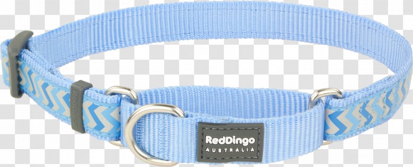 Dog Collar Dingo Blue Cat - Red Transparent PNG