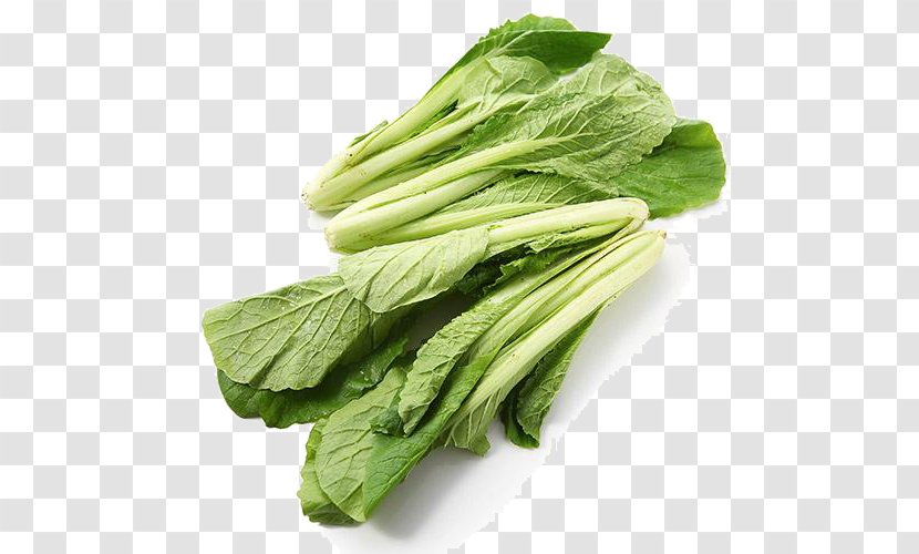 Choy Sum Romaine Lettuce Spring Greens Cabbage Chard - Frame - Organic Transparent PNG