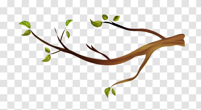 Branch Leaf Plant Plant Stem Flower Transparent PNG